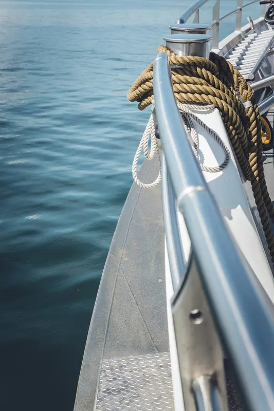 Squid.Boats Premium Domain